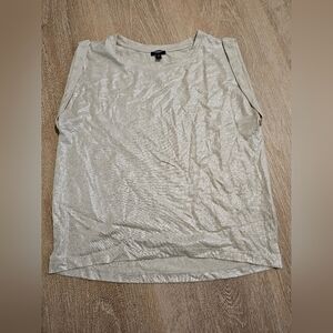 Express Skimking Shimmering Beige Top